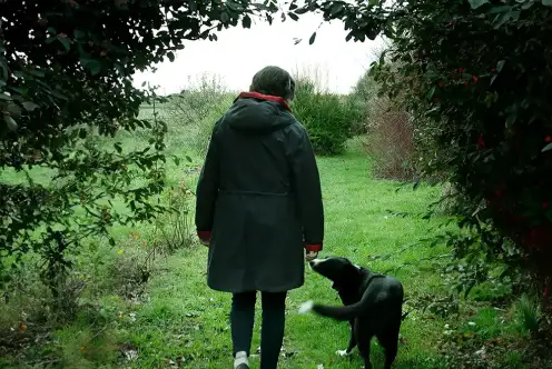 Encadré d'arbres, avançant sur un chemin d'herbe, de dos, une silouette à manteau noir tourne la tête vers un chien noir au museau et pattes blanches, qui lui touche la main.