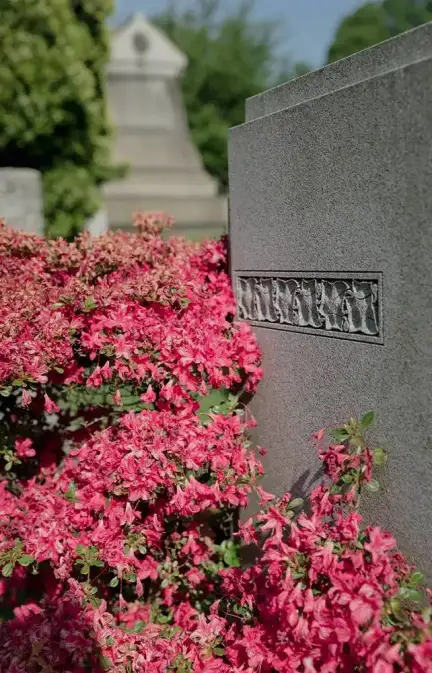 Photographie d'une tombe couverte de fleurs roses.