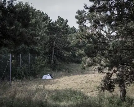 Photo d'un paysage, un fond de champ. Au premier plan, à droite, un petit pin rond sur un sol d'herbes vertes habille la scène.  Au second plan, l'herbe est plus rase et sèche, entourée de grillage et de haies. à gauch, contre le grillage, une petite toile de tente fermée, bleu pâle. D'autres pins, denses, protègent le coin de champs des regards.