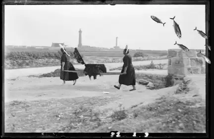 Une photographie en noir et blanc de deux sardinières qui transportent un panier à sardines. Sur les bords de l'image, des sardines ont été ajoutées par Yann Peucat.